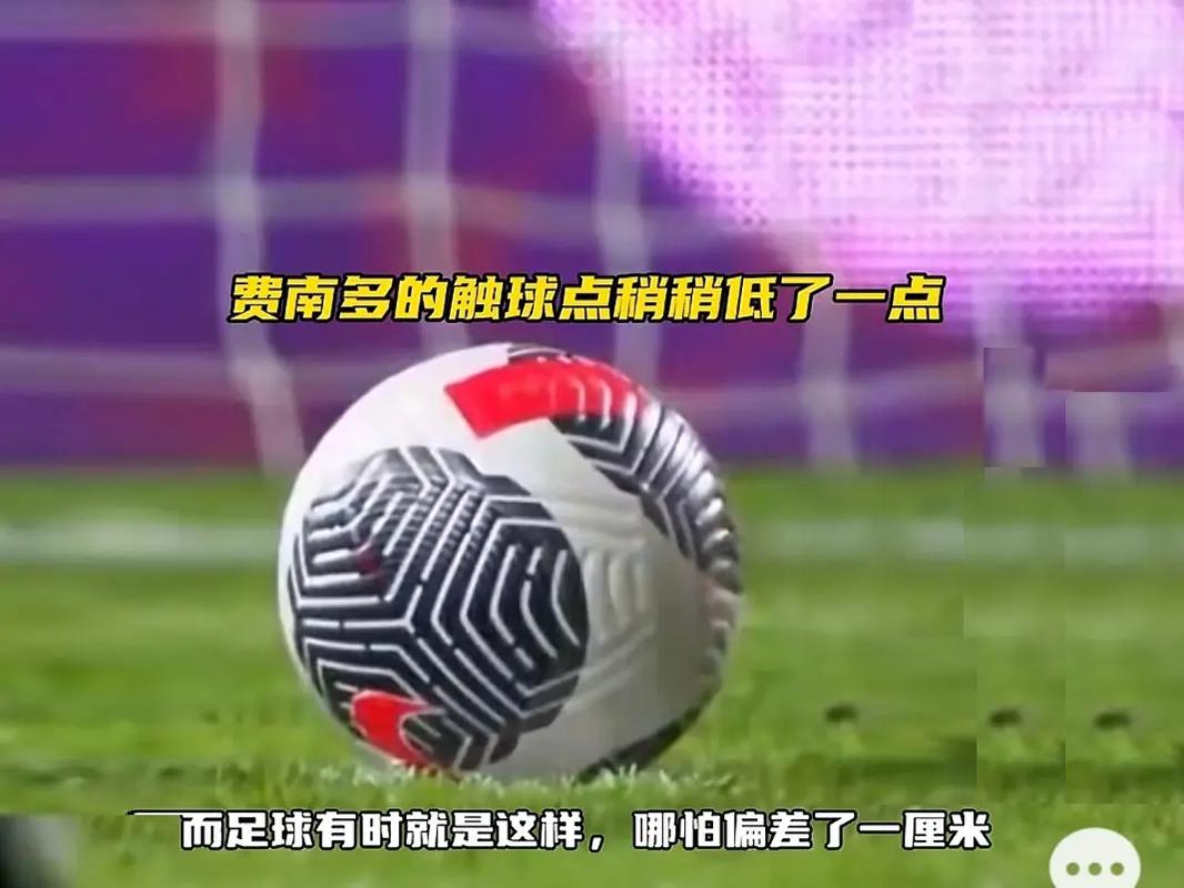 并不代表终